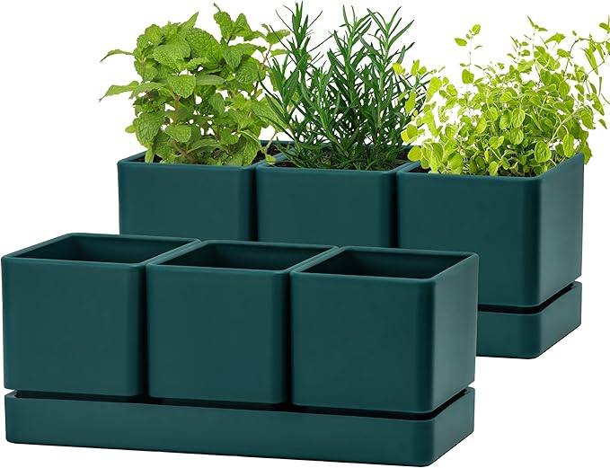 D'vine Dev Herb Garden Planter Set, Plastic Plant Pots with Drainage and Saucer, Indoor Succulent Cactus Vegetable Pot for Windowsill, Garden Balcony, Green, Set of 2, 76-V-C-2