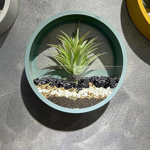 5 lbs Black Pebbles for Indoor Plants, Succulent, Bamboo, Vase, 3/8" Plant Rocks for Pots Indoor, Small River Rocks Decorative Pea Gravel, Highly Polished