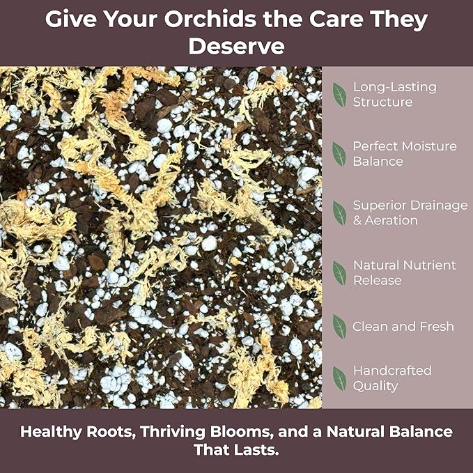 Orchid Potting Mix – Orchid Bark, Sphagnum Moss, Tree Fern & Perlite for Repotting Phalaenopsis Orchids, Indoor Plants, Orchid Soil Medium – Sustrato para Orquídeas (1 Quart)