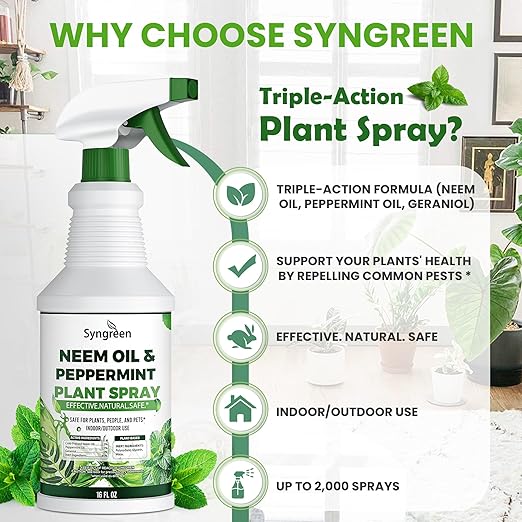 Neem Oil Spray for Plants with Peppermint – Gentle Leaf Maintenance for Indoor and Outdoor Greenery, 16oz