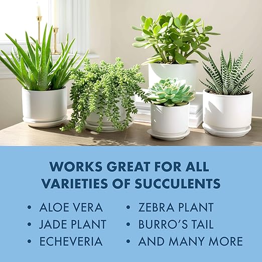 Succulent Plant Food for Succulents, Cactus, Jade and Aloe, Liquid Houseplant Fertilizer 8 oz (250mL)