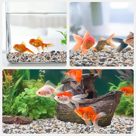 5 lbs Small Rocks for Plants, 1/5 Inch Pebbles for Indoor Plants, Natural Decorative Pea Gravel for Aquarium, Fish Tank, Terrarium, Succulents, Bamboo Plants, Vases, Cactus, Crafts