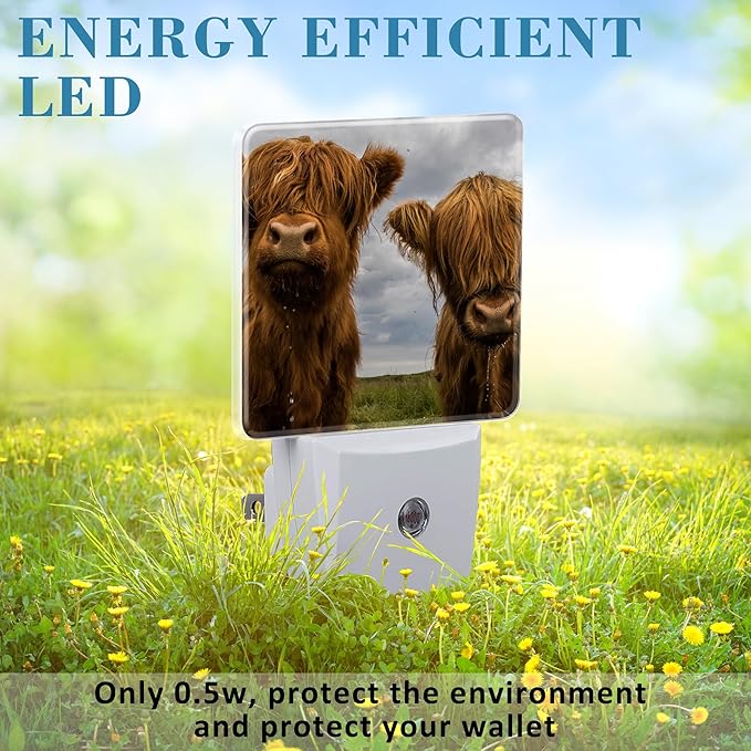 Highland Cows Night Light with Dusk to Dawn Sensor for Kid Girls Boys Women Men Room Decor, Hallway, Kitchen, Bathroom, Nursery, Stairs