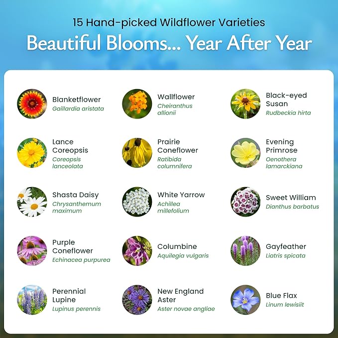 Created By Nature All Perennial Flower Seeds, 15 Flower Varieties, 49,000 Wildflower Seeds