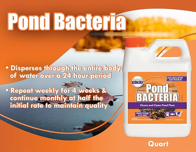 Pondworx Pond Bacteria - Concentrated & Formulated for Large Ponds, Water Features - Safe for Koi - 32ounes & Treats up to a Quarter Acre Pond