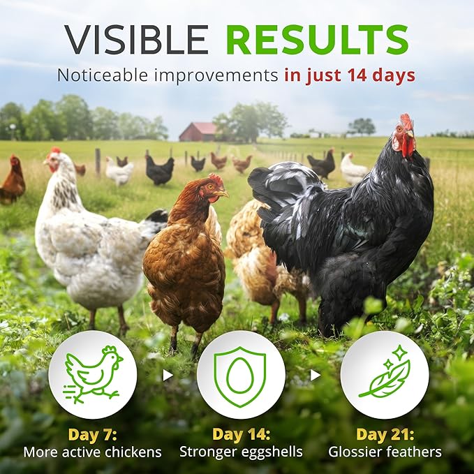 Herb Supplement for Backyard Chickens - Natural Chicken Treats, Poultry Feed Botanical Mix, Plant-Based Coop Snacks for Daily Wellness, Feather Quality, Egg Production, USA (12 oz)