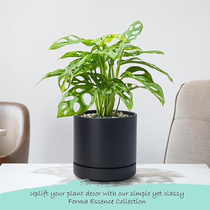 Phoenix Vine 6 Inch Planter Pot with Drainage Hole & Saucer, Deep Water Catch Tray, Straight Cylindrical Round Pot for Plants, Matte Black, Pack of 4, 23-C-S-4