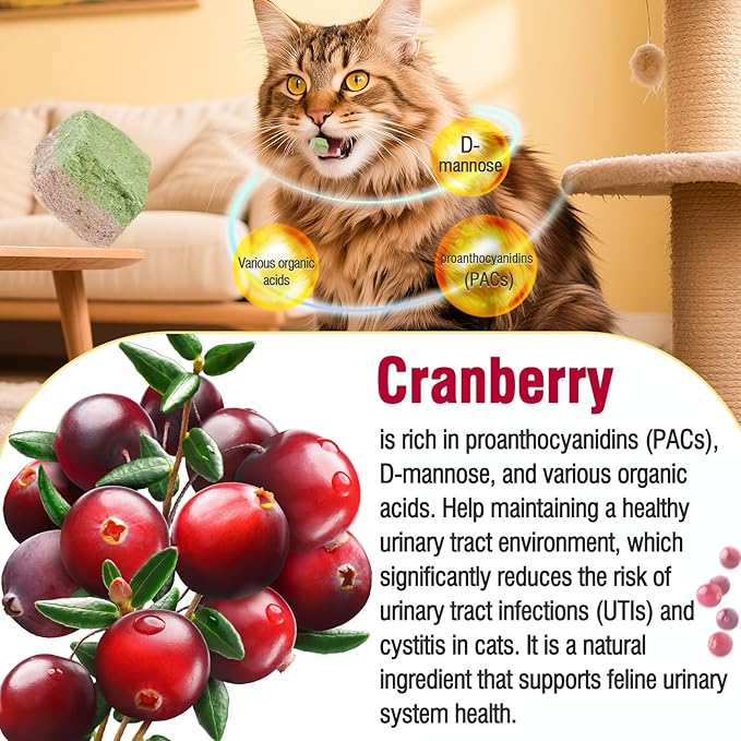 HavenJanny Freezed-Dried Cat Grass Treats, Catgrass Cranberry Duo Bites, Cat Dental Treats for Hairball Control and Urinary Tract Support, Cats Teething Stick (60g, Cranberry)