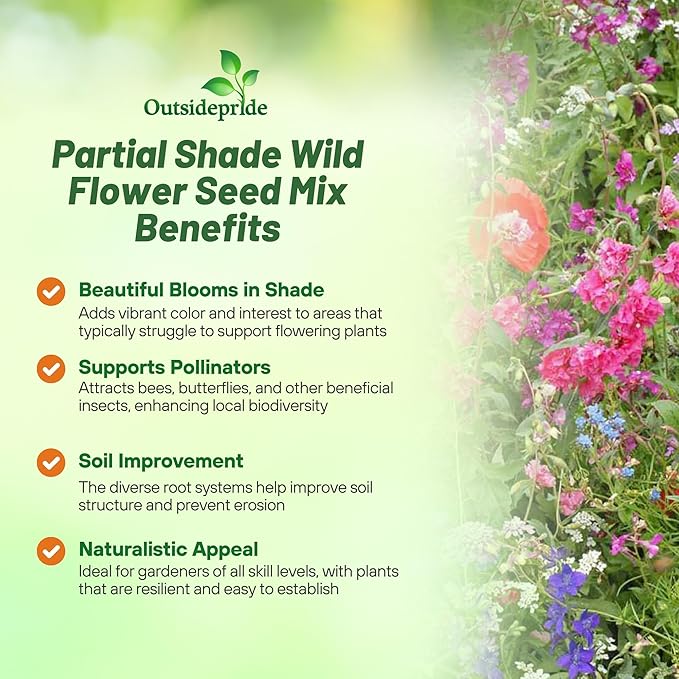 Outsidepride Partial Shade Wild Flower Seed Mix for All States - 1 lb. Premium Blend of Annual & Perennial Wildflowers, Perfect for Partial Shade Areas, & Outdoor Planting for Gardens & Lawns
