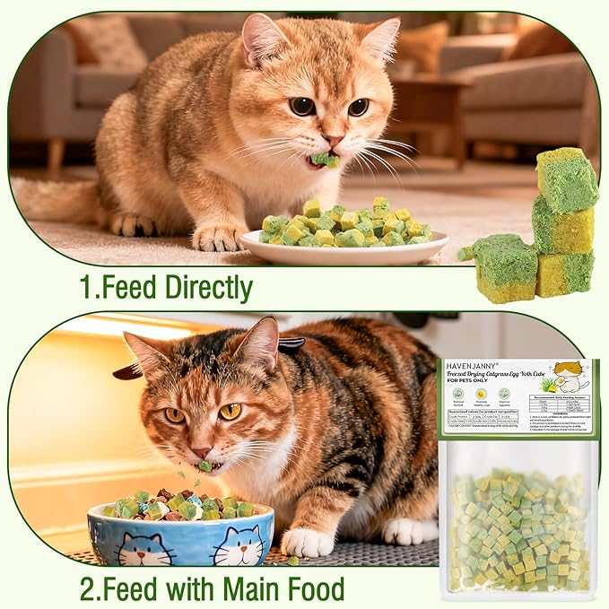 HavenJanny Freezed-Dried Cat Grass Treats, Catgrass Egg Yolk Duo Bites, Cat Dental Treats for Hairball Control and Healthy Coat, Cats Teething Stick (60g, EggYolk)