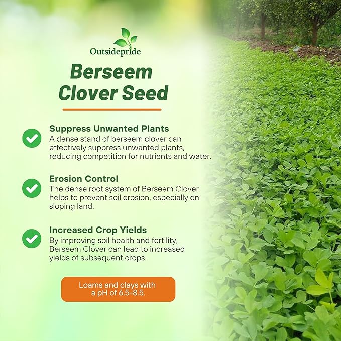 Outsidepride Annual Berseem Clover Seeds for Lawn - 10 lbs. High-Yield, Fast-Growing Clover Cover Crop Seeds for Food Plots, Cattle Forage & Nitrogen-Rich – Ideal for Pastures & Soil Improvement
