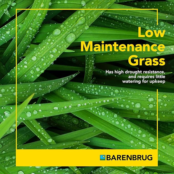 Barenbrug Wonderlawn Sun and Shade Grass Seed Mix for Lawn Care and Landscaping, 10 lbs. Bag
