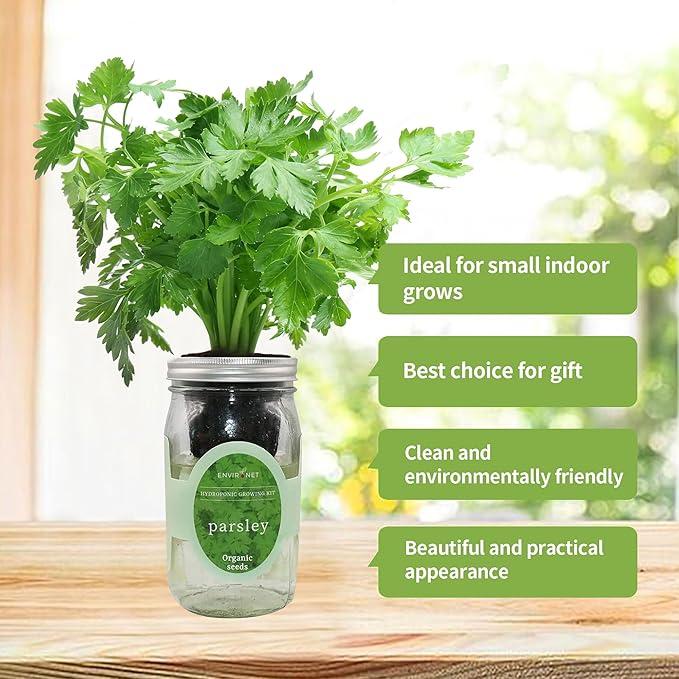 Hydroponic Herb Growing Kit, Self-Watering Mason Jar Herb Garden Starter Kit Indoor, Windowsill Herbs Garden, Grow Your Own Herbs from Organic Seeds (Parsley)