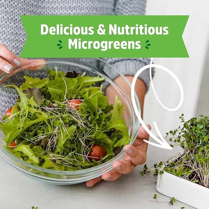 Back to the Roots Organic Microgreens Grow Kit with Ceramic Planter, Expandable Soil, Organic Seeds, and Germination Lid