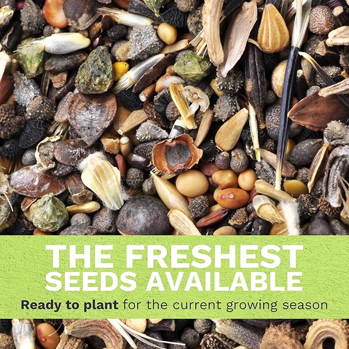 Monarch Butterfly Rescue Mix - Bulk 1/4 Pound Pouch - 44,000 Flower Seeds for Planting - Wildflower Mix