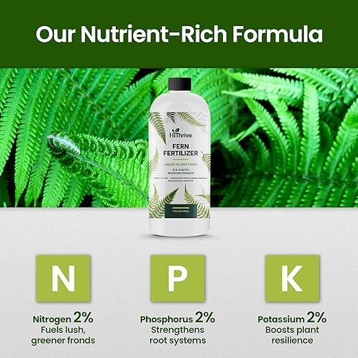 16oz Fern Fertilizer for Live Ferns - Makes 32 Gallons of Fertilizer for Ferns, Indoor Plant Food for Greener Growth and Dense, Resilient Fronds with Intricate Texture - Ideal for All Fern Plant Live