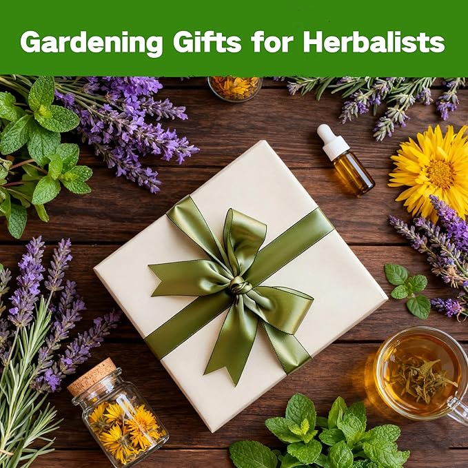 LUSH&DEW Medicinal Herb Gardening Gifts for Herbalists, Apothecary Seed Chest, 40 Varieties 36,000+ Non-GMO Heirloom Seeds for Planting Herbs in Raised Bed Windowsill, Survival Seed Kit for Herbal Tea