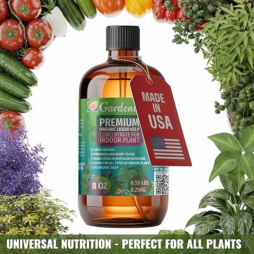 GARDENERA Premium Organic Seaweed & Kelp Superfood for Kumquat Plants - 32 oz - Liquid Kelp Fertilizer Concentrate (Makes 180 Gallons)