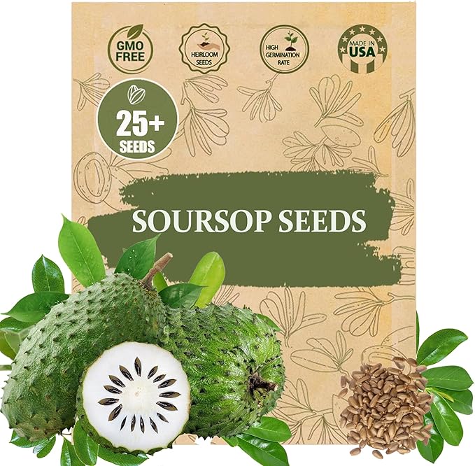Premium Soursop (Graviola) Seeds – 25+ Non-GMO Heirloom - Fast-Growing, High-Yield Tropical Fruit Trees