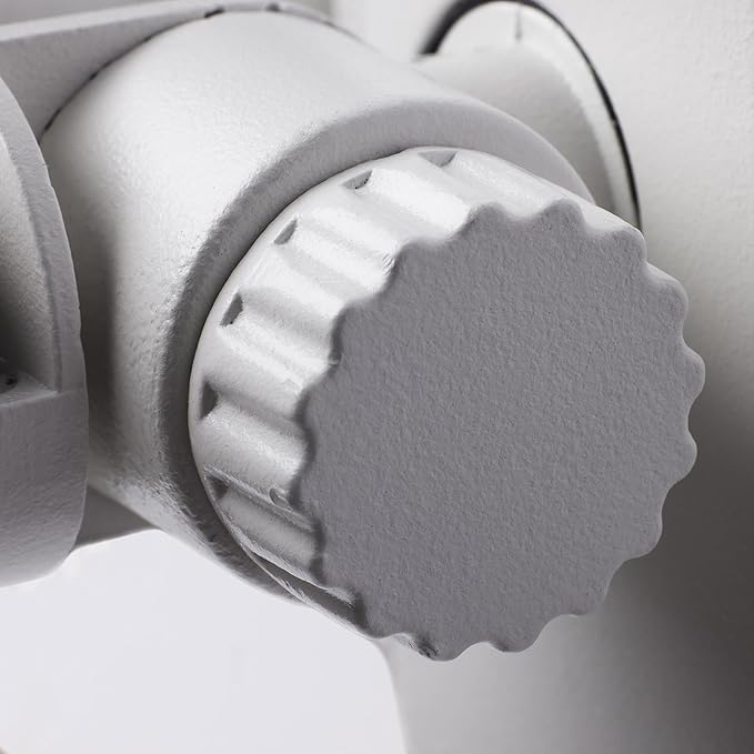 Nuvo 65/216 LED Dual-Head Security Light, 4000K, White