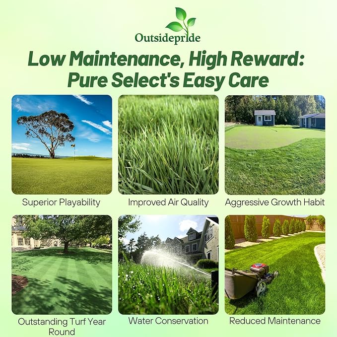 Outsidepride Pure Select Creeping Bent Grass Seed - 2 lbs. Premium Turf Grass for Putting Greens, Tees & Fairways, Dense & Fine-Textured Lawn Seed for Smooth, Professional-Quality Golf Greens & Lawns
