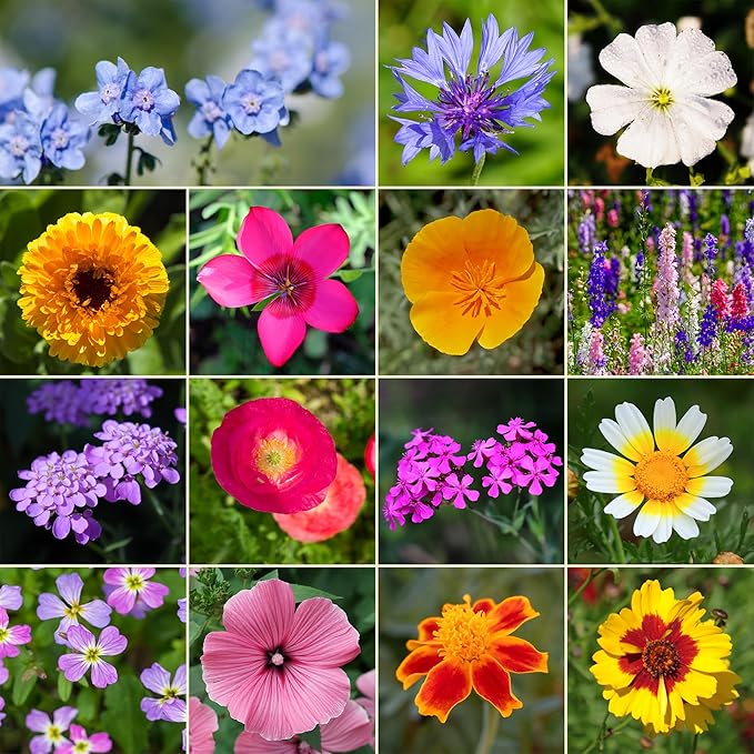 Ferry-Morse Annual Mix Bulk Flower Seeds, 1lb