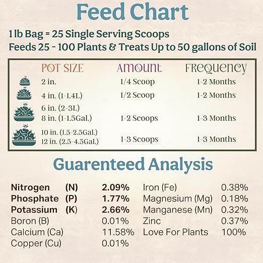 All-In-One Organic Succulent Fertilizer, Cactus Fertilizer, Succulent Plant Food, Bonsai & Cactus Food, 1lb bag = 25 Single Servings, Fast & Slow Release feeds up to 100 plants for 8 months