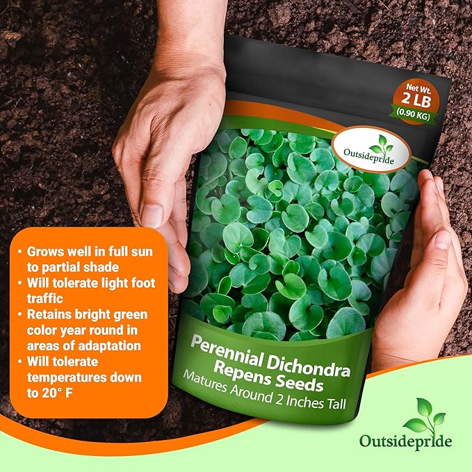 Outsidepride Perennial Dichondra Repens Seeds - 2 lbs Dense Green, Low-Maintenance Ground Cover Seeds for Planting, Ideal Lawn Alternative in Sun or Shady Areas & Erosion Control in USDA Zones 8-11