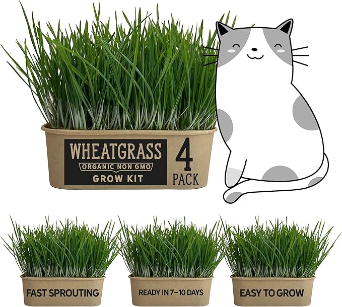 Organic Wheatgrass Cat Grass Premium Grow Kit 4 Pack | 100 % Wheatgrass Seeds Non‑GMO Seeds for Cats & Humans