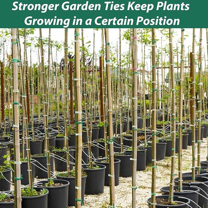 YDSL 100 Feet Soft Tie for Plants, 3 Pack Green Twist Garden Ties Gardening Supplies for Supporting Climbing Plants, Tomatoes, Vegetables, (Diameter - 2.5MM)