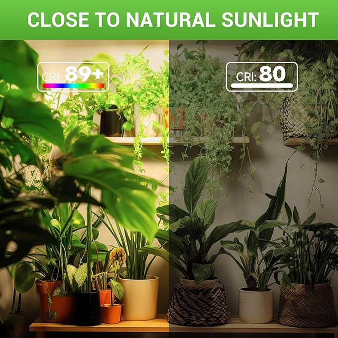 RDJ Bouns Dimmable Grow Light Bulb with Remote Control, 80W Large Full Spectrum Plant Bulb with 4/8/12H Timer, E26 Base LED Grow Lamp for Large Indoor Plants, Monstera, Fiddle Leaf Fig