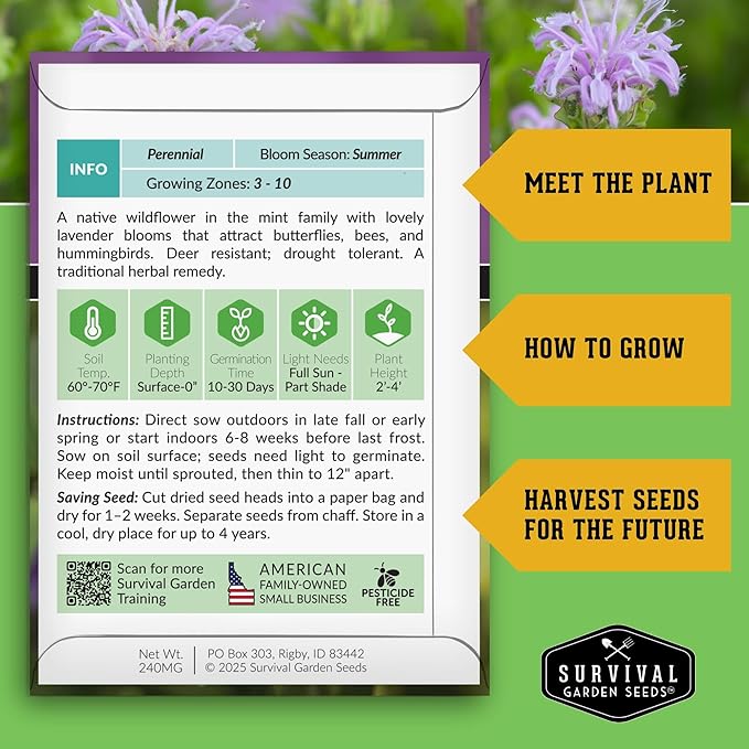 Bergamot Herb (Bee Balm) Seed for Planting - 2 Packets with Instructions to Grow Monarda Fistulosa Wildflowers in Your Home Vegetable Garden - Non-GMO Heirloom Variety - Survival Garden Seeds