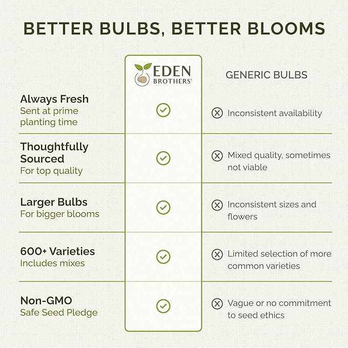 Eden Brothers Ranunculus Bulbs - Mix