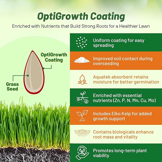 Outsidepride Combat Extreme Southern Zone Grass Seeds for Lawn - 5 lbs. SPF 30 Heat & Drought Tolerant Mix of Turf Type Fescue & Hybrid Bluegrass Seed with OptiGrowth Coating Enhanced Germination