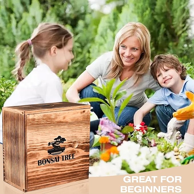 Bonsai Garden Starter Kit, 4 Seeds Growing into Sakura, Ginkgo, Black Pine, Red Flame, Including Complete Gardening Tools & A Wooden Box with Cover, Christmas Gifts for Men Women Beginners