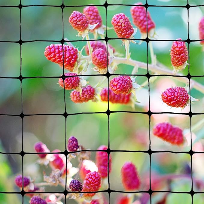Bird-X Standard Bird Netting, Ideal for Gardens and Lightweight Applications, UV-Stabilized Mesh Netting with 3/4" Hole Opening, Easy to Install, 100' x 14'