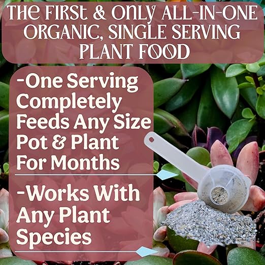 All-In-One Organic Succulent Fertilizer, Cactus Fertilizer, Succulent Plant Food, Bonsai & Cactus Food, 3 lb bag = 75 Single Servings, Fast & Slow Release feeds up to 300 plants for 8months