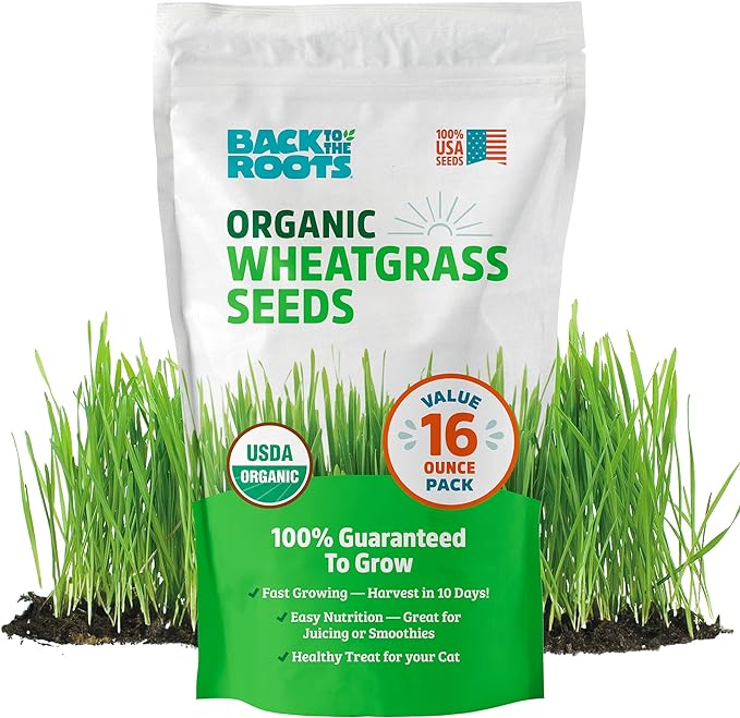 Back to the Roots 100% Organic Wheatgrass Seeds | 1 Pound Non-GMO | Nutrient Dense, Easy to Grow | Cat Grass Planter Seeds