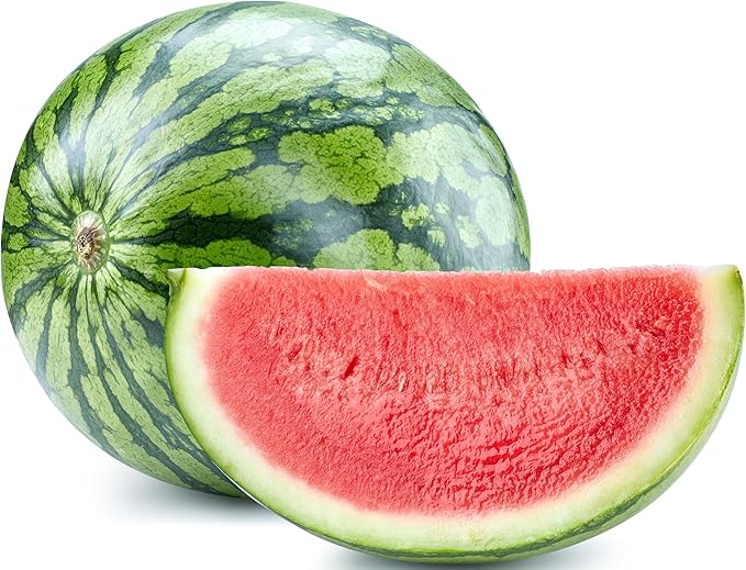 50 Sugar Baby Watermelon Seeds for Planting - Heirloom Non-GMO USA Grown Premium Fruit Seeds for Planting a Home Garden - Small Watermelon Citrullus Lanatus by RDR Seeds