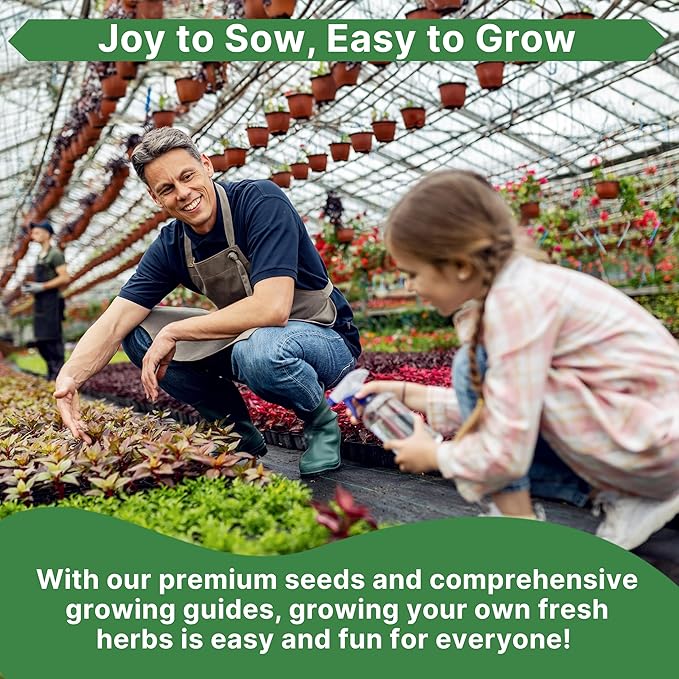 White Yarrow Seeds Pack 0.25 G - Over 2000 Non-GMO Heirloom Yarrow Seeds for Planting Herbs in Individual Seed Packet, Herbs Seeds for Planting Home Garden Indoor & Outdoor Gardening