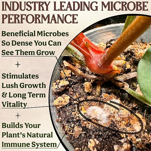 The All-in-One Complete Organic Plant Food, Indoor Plant Food for Houseplants, Organic Fertilizer for Vegetable Gardens, 3lb =75 Formulated Servings Feeds 150 gal Instantly and Slow Release