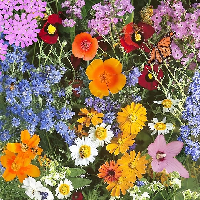 Ferry-Morse Annual Mix Bulk Flower Seeds, 1lb