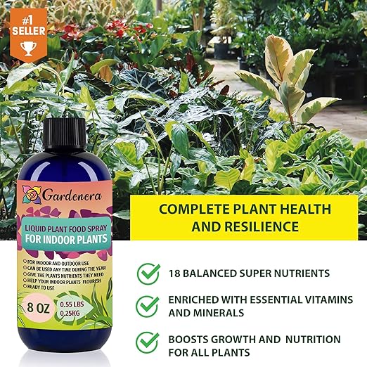 Premium Plant Growth Superfood for All Plants with 18 Essential Vitamins & Minerals - Organic Plant Food Fertilizer - Micro-Fungi and Bio-Organisms for All-Purpose Care - 32 OZ
