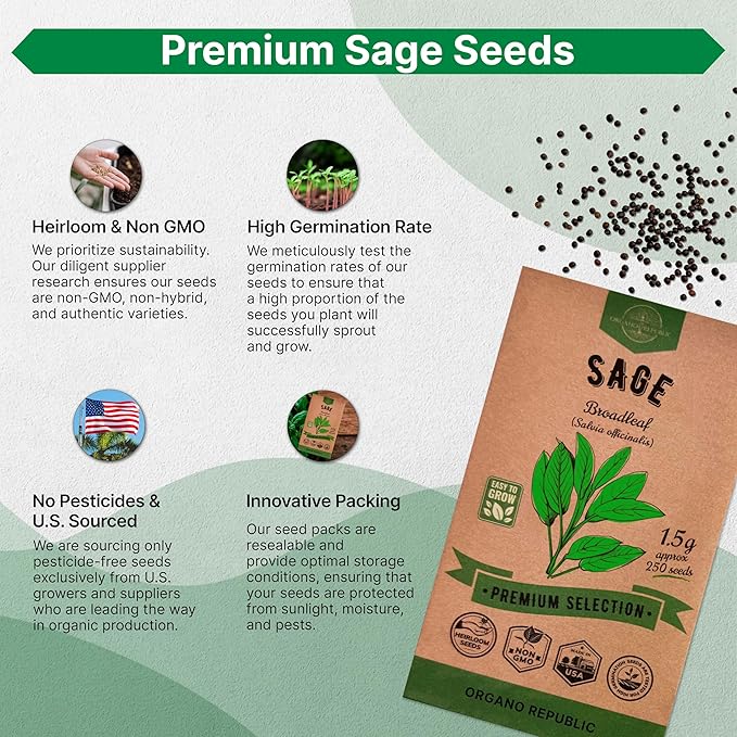 Sage Seeds Pack 1.5 G - Over 250 Non-GMO Heirloom Sage Seeds for Planting Herbs in Individual Seed Packet, Herbs Seeds for Planting Home Garden Indoor & Outdoor Gardening