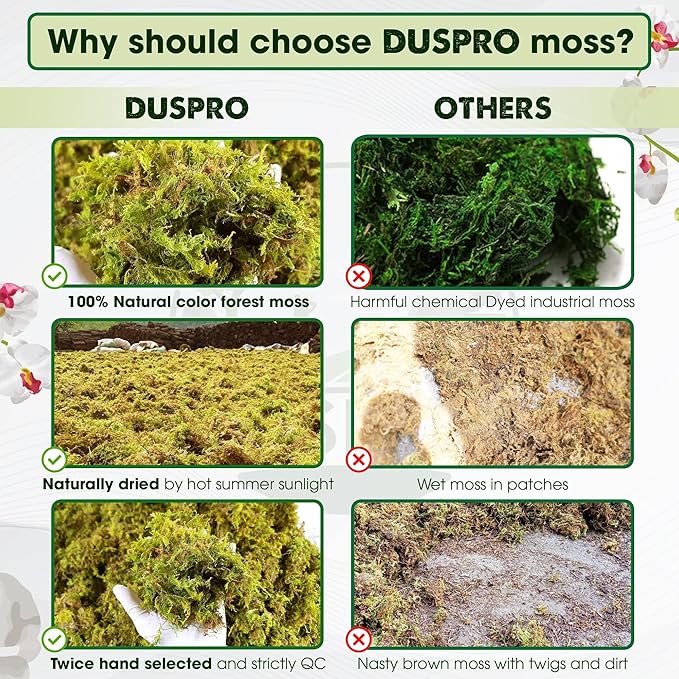 DUSPRO Dried Moss for Potted Plants, Forest Orchid Moss for Potting Mix, Sphagnum Potting Moss for Plants Indoor, Real Moss Soil Cover for Houseplant (2 OZ)