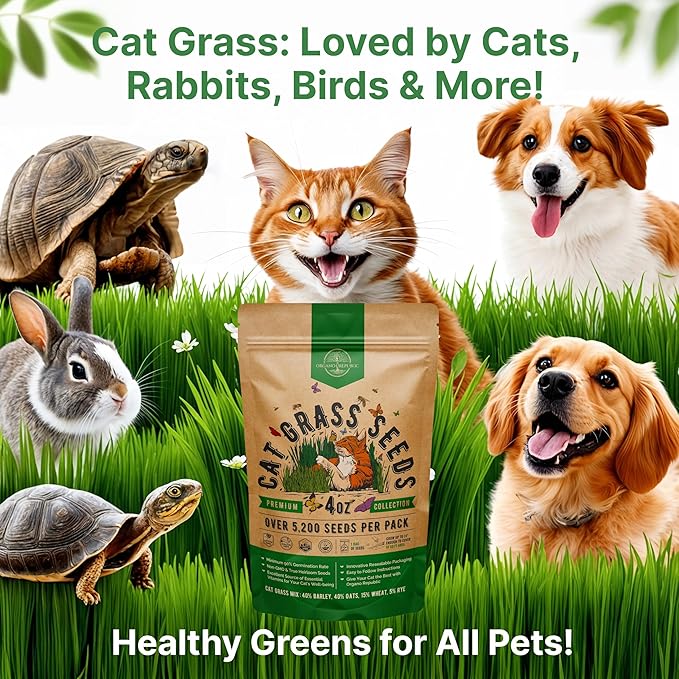 Cat Grass Seeds Mix - 5,200 Non-GMO Heirloom Seeds for Cats & Pets, 4 oz Pack for Growing Fresh Barley, Oat, Rye & Wheat Grass Seeds for Planting, Indoor Plants for Pets, Hairball Remedy for Cats