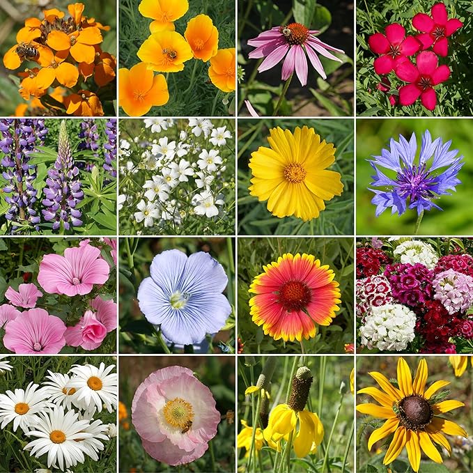 Ferry-Morse North American Mix Bulk Wildflower Seeds, 1lb