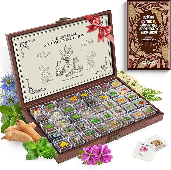 LUSH&DEW Medicinal Herb Gardening Gifts for Herbalists, Apothecary Seed Chest, 40 Varieties 36,000+ Non-GMO Heirloom Seeds for Planting Herbs in Raised Bed Windowsill, Survival Seed Kit for Herbal Tea