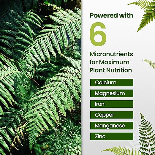 32oz Fern Fertilizer - Makes 64 Gallons of Fertilizer for Ferns, Nutrient-Rich Indoor Plant Food for Greener Growth and Dense, Resilient Fronds with Intricate Texture - Ideal for All Fern Plant Live