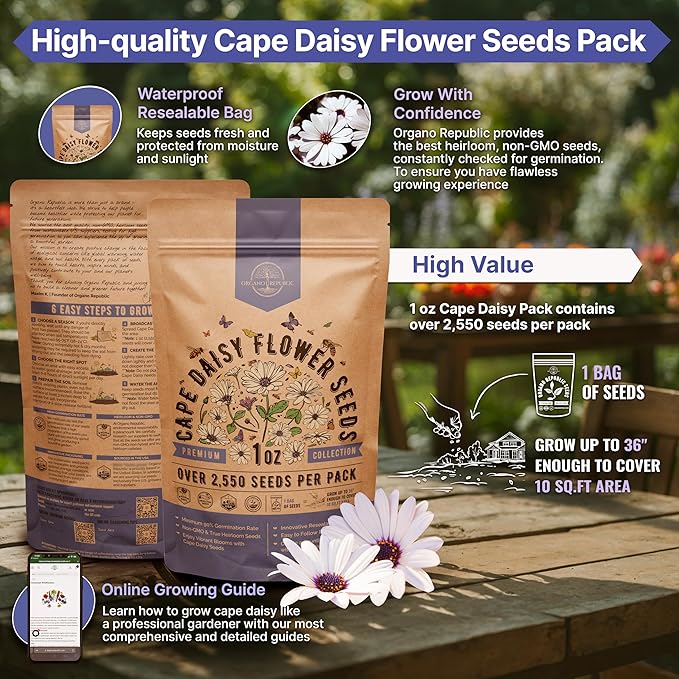 Cape Daisy Flower Seeds Pack 1 oz - Over 2,550 Non-GMO Heirloom Cape Daisy Seeds for Planting, Perennial Flowers in Individual Seed Packet, Seed for Planting Home Garden Indoor & Outdoor Gardening